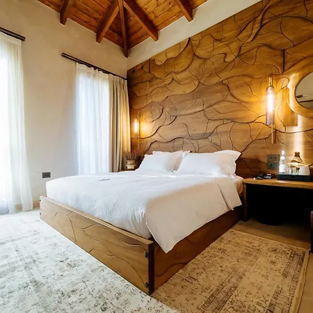 Hotel Arctic Boutique *