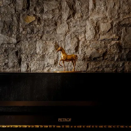 Hotel Arctic Boutique