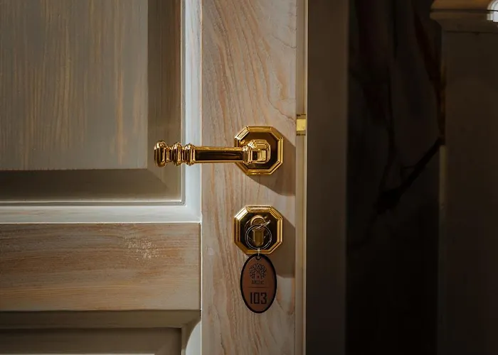 Arctic Boutique Korcza